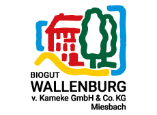 Wallenburg Logo